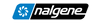 nalgeneusshop.it.com
